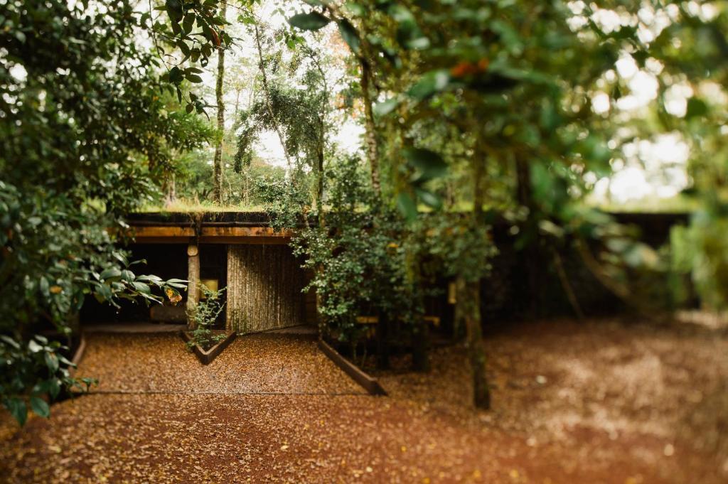 Huilo Huilo Nawelpi Lodge Puerto Fuy Luaran gambar